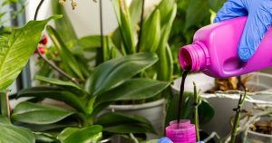هیومیک اسید اصل و تقلبی